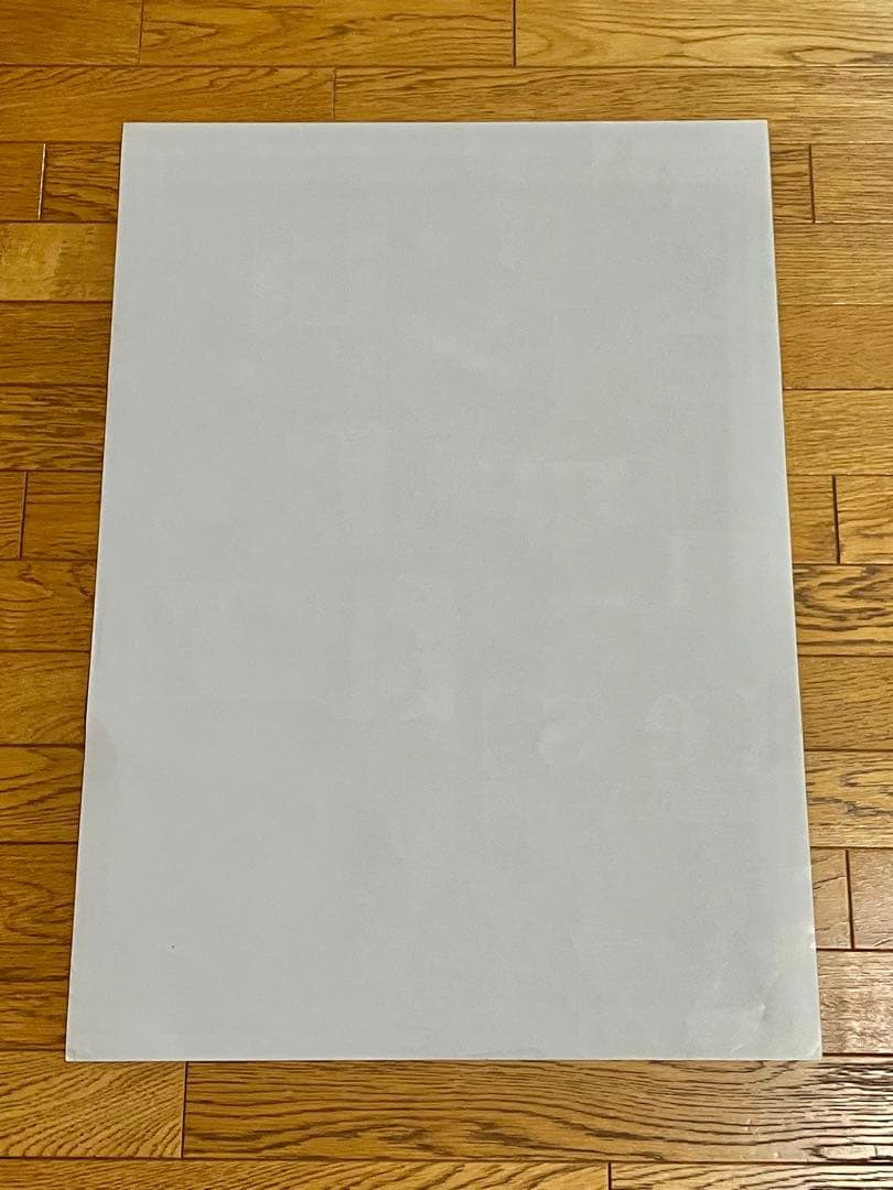 映画ポスター 【es】Mr.Children in FILM 中古