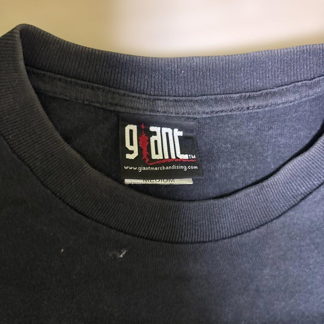 【最終値下げ】AEROSMITH ビンテージTシャツ(giant製)