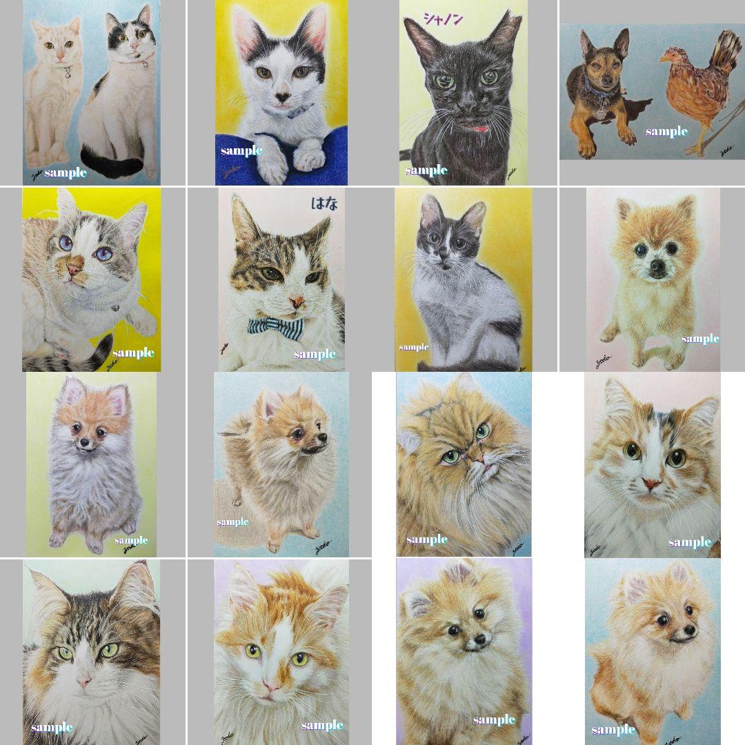 色鉛筆画✭愛猫愛犬✭ペット似顔絵　肖像画　イラスト　注文オーダー　受付ページ　1