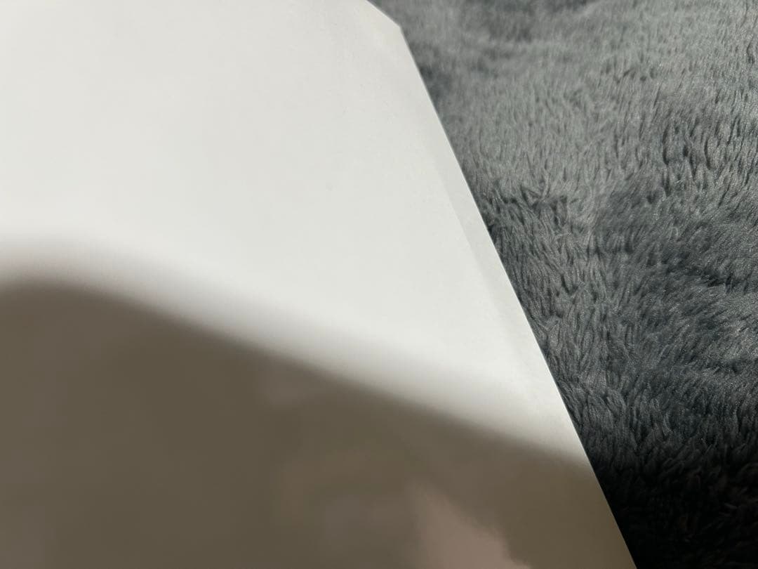 薫る花は凛と咲く　キャンバスアート　薫子&凛太郎の公式イラスト　未開封