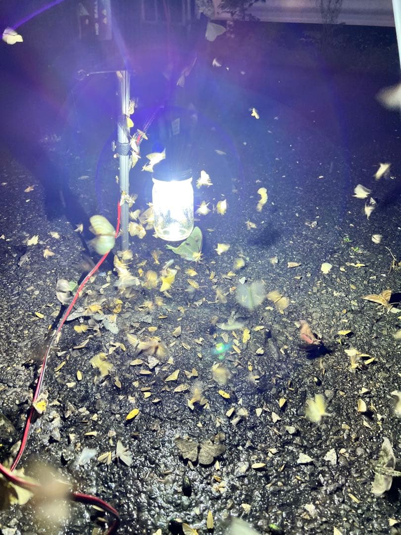 灯火採集　吊り下げ　置き型　ライトトラップ　HID55w 紫外線放出加工済