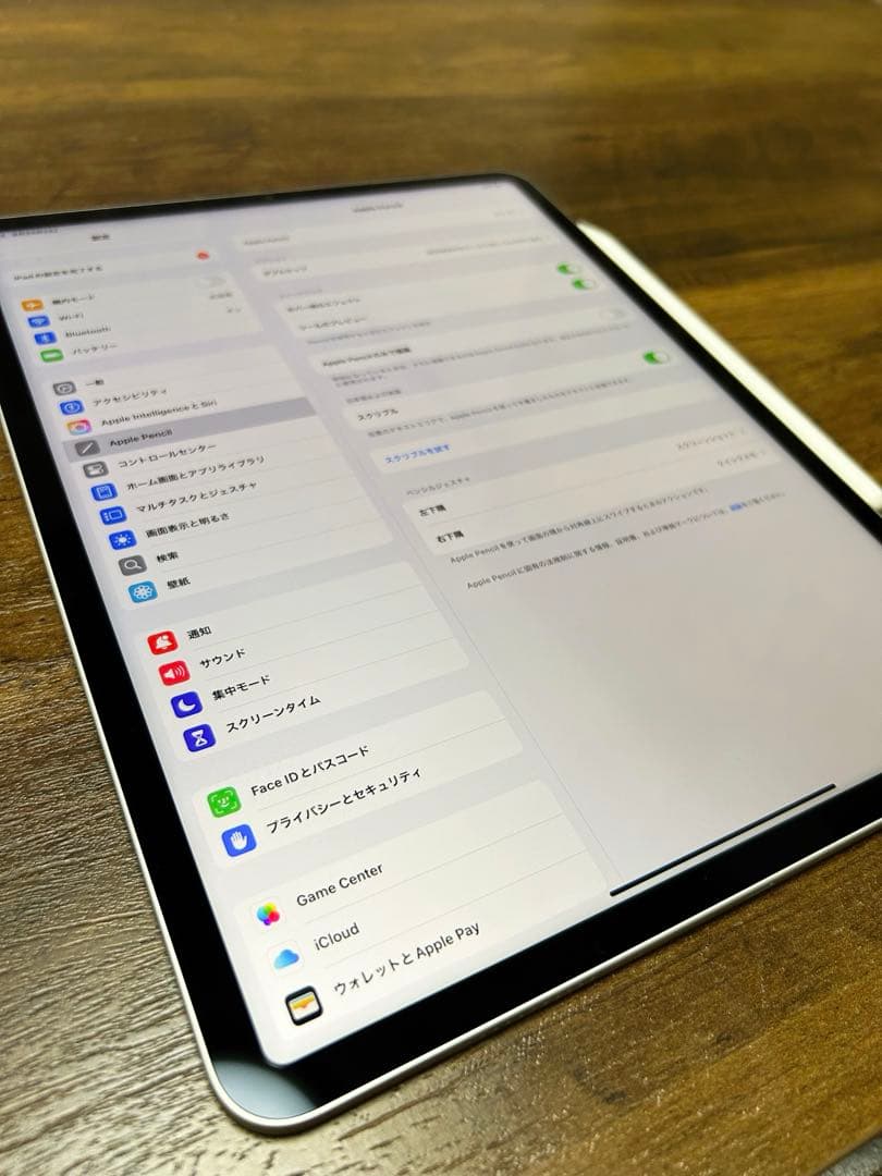 iPad Pro 12.9 第6世代 256GB Wi-Fi Pencil2付き