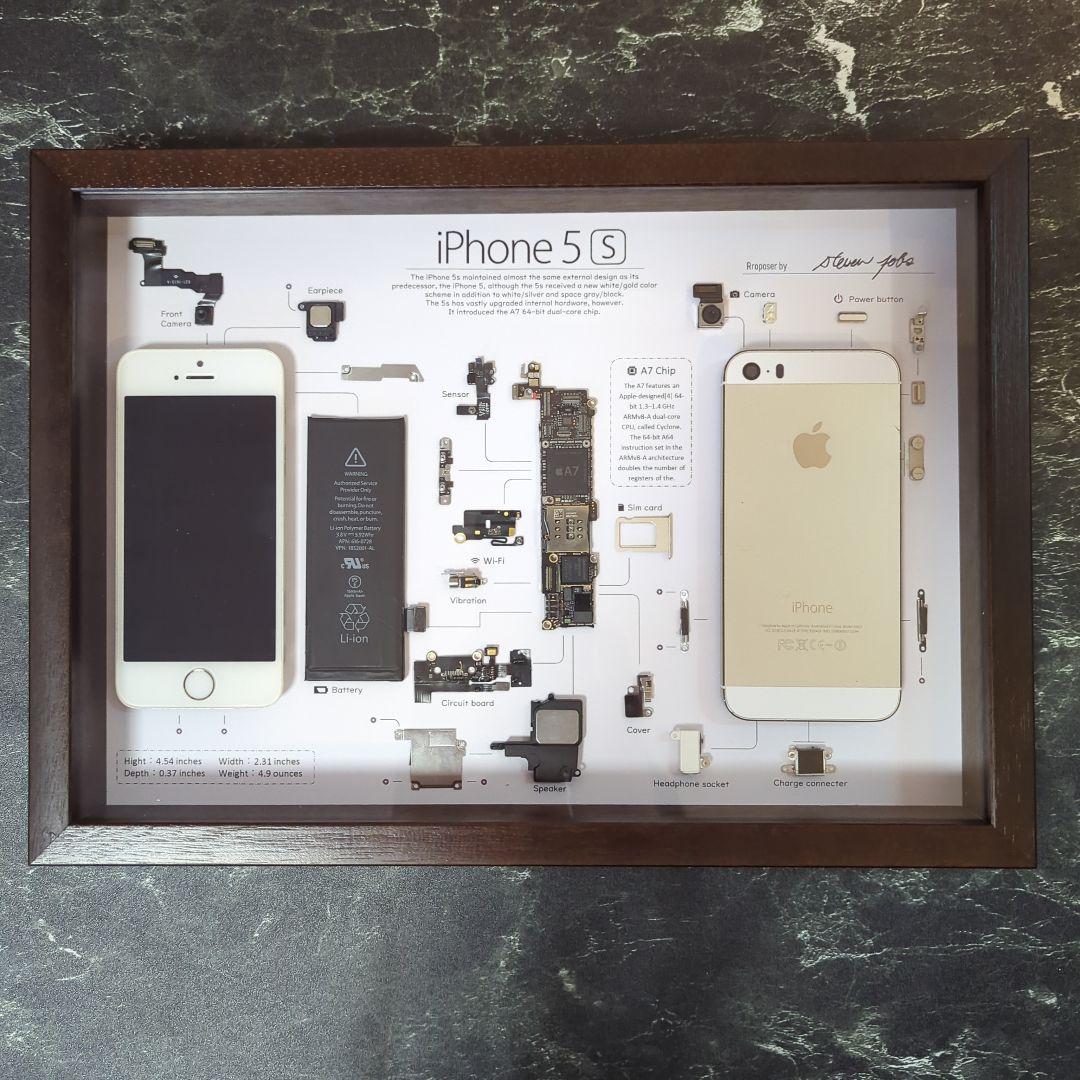 iPhone5s ゴールド 標本アート