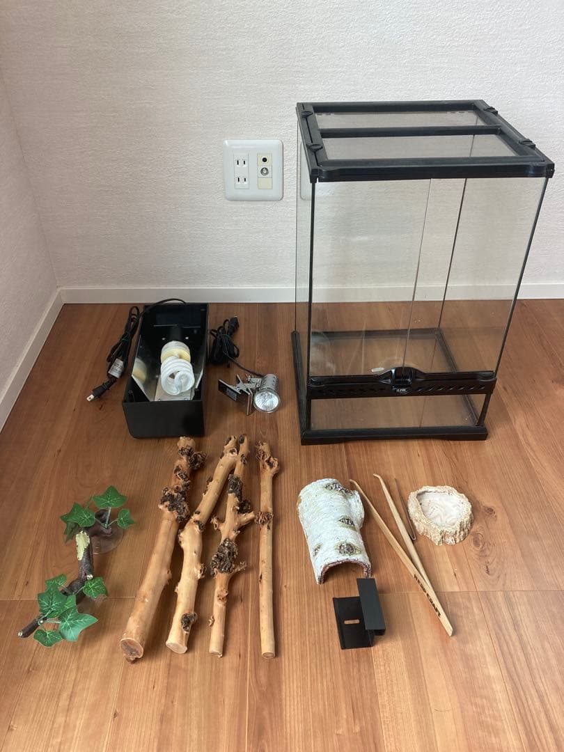 グラステラリウム爬虫類飼育セット　おまけ盛りだくさん（写真に写ってるものすべて）