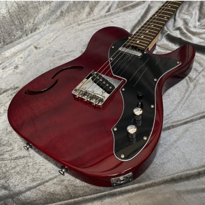 美品 限定生産モデル 美品 Schecter OL-PT-TH セミホロウ