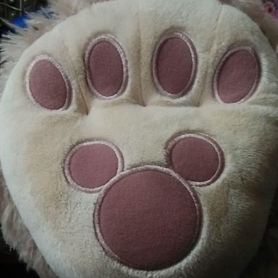 デズニーランド、くま、クマ、ディベアーフワフワ、 ぬいぐるみ、ビック