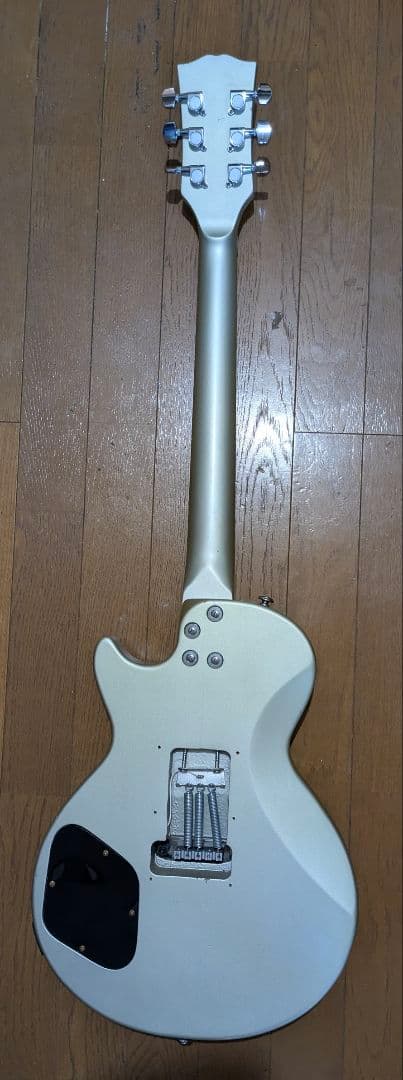 グラスルーツ Grass Roots レスポールタイプ ロック式