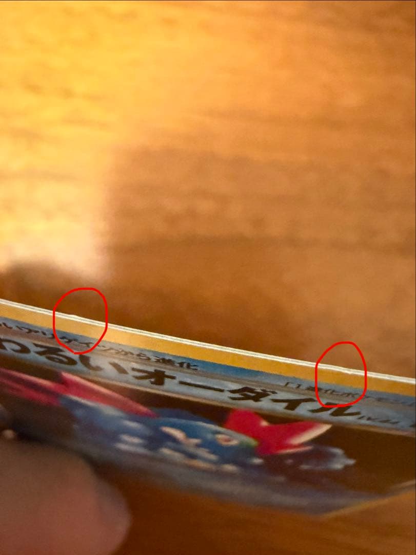 【旧裏】わるいオーダイル 拡張パック第4弾 闇、そして光へ…