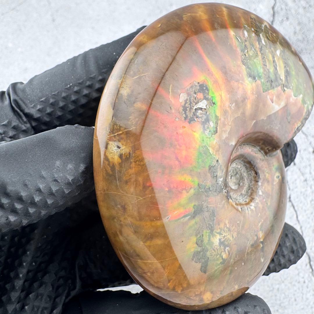 G-79天然アンモナイト原石　游色多色アンモナイト化石 天然石　コレクション標本