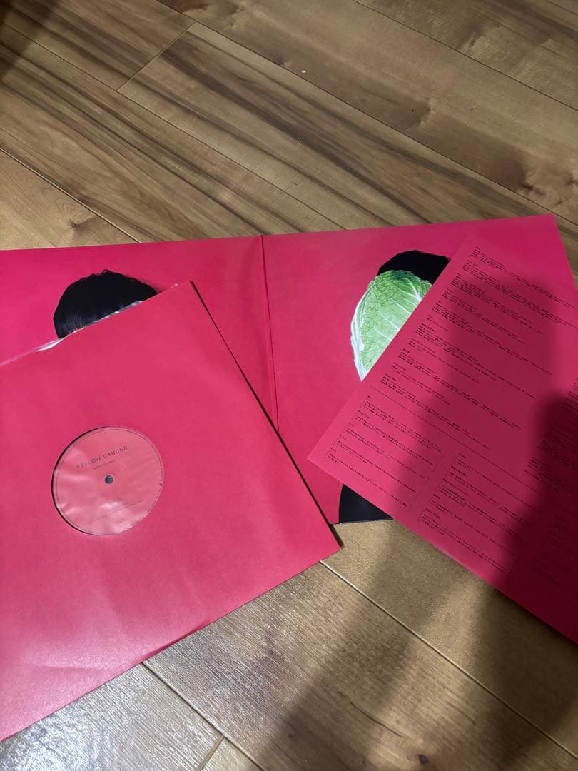 ソ*ー様 星野源レコード