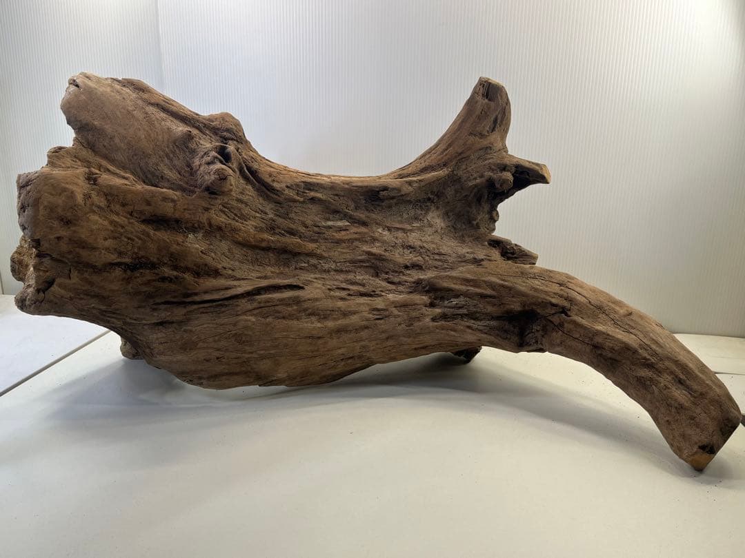 R72特大流木アク抜き済み流木 爬虫類シェルター 登り木 インテリア 生け花