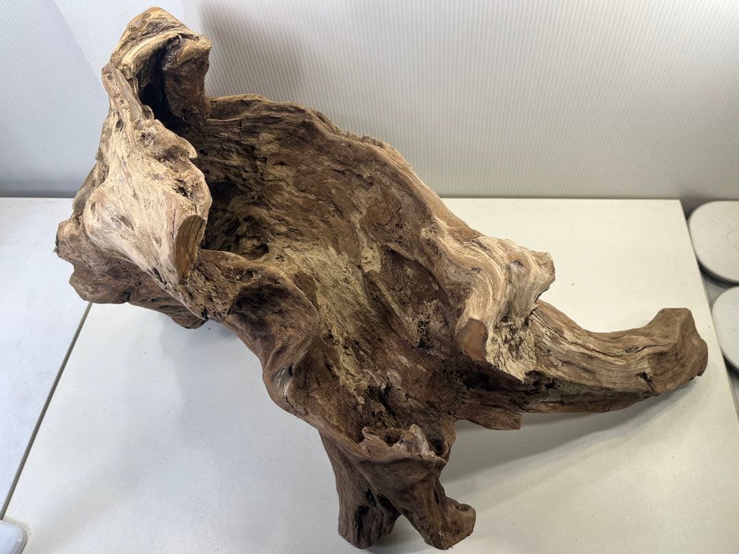R72特大流木アク抜き済み流木 爬虫類シェルター 登り木 インテリア 生け花