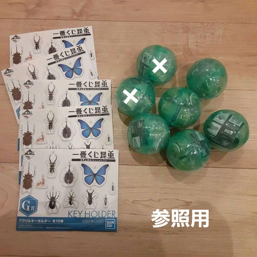 イモムシガチャ　昆虫アクリルキーホルダー