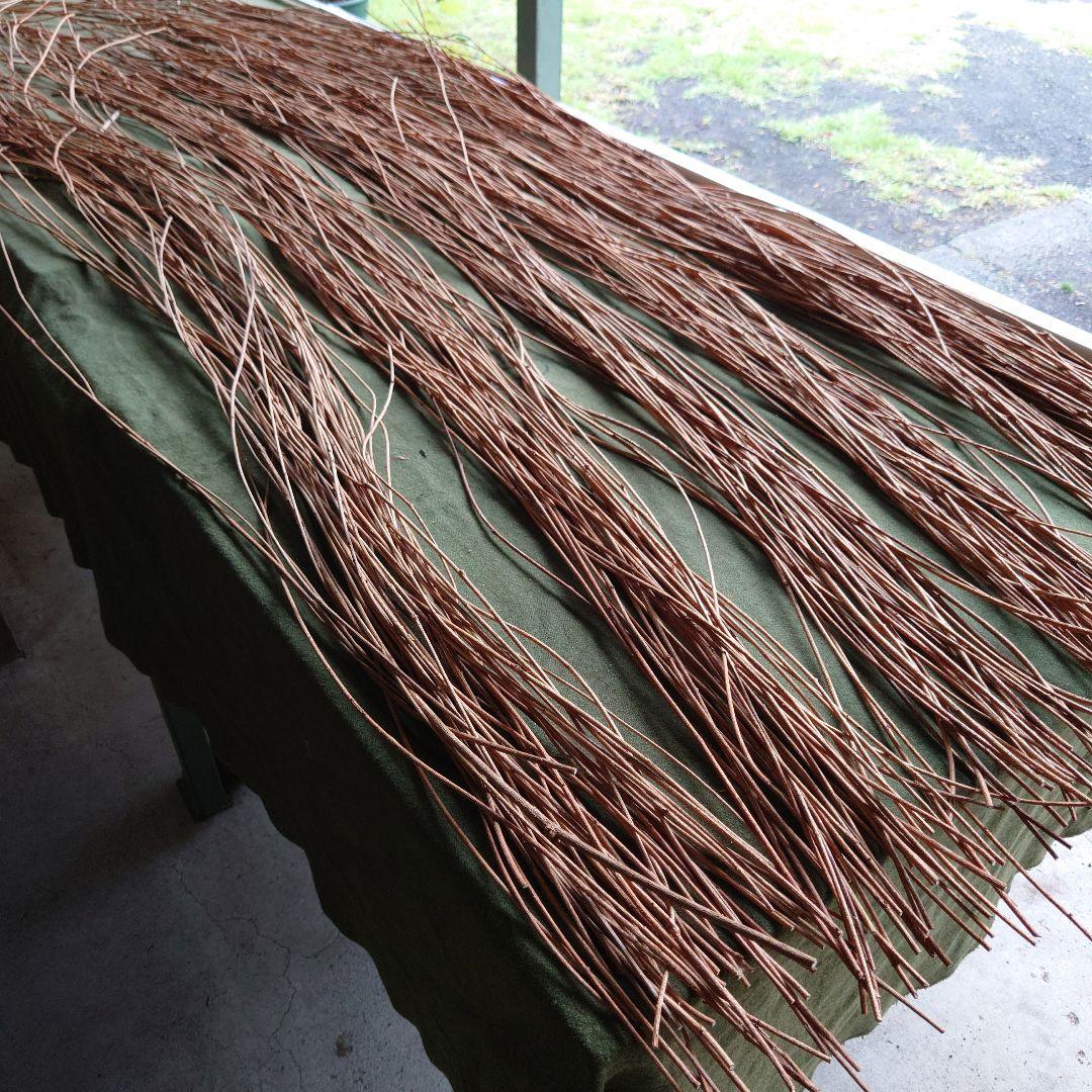 アケビの蔓(根蔓ランナー)