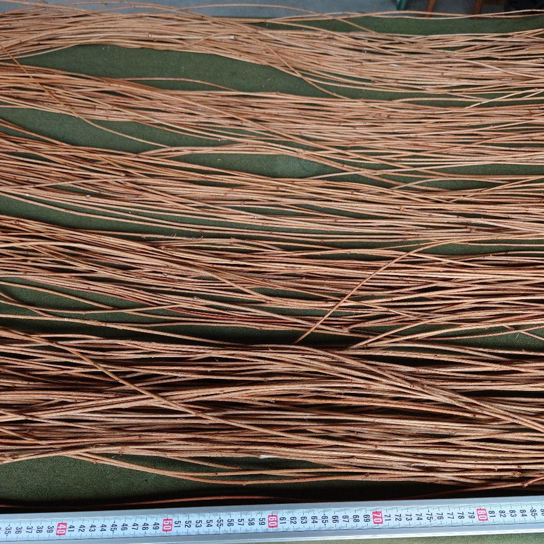 アケビの蔓(根蔓ランナー)