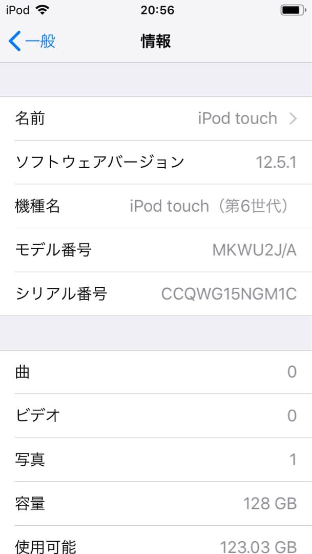 iPod Touch 第6世代128GB グレー