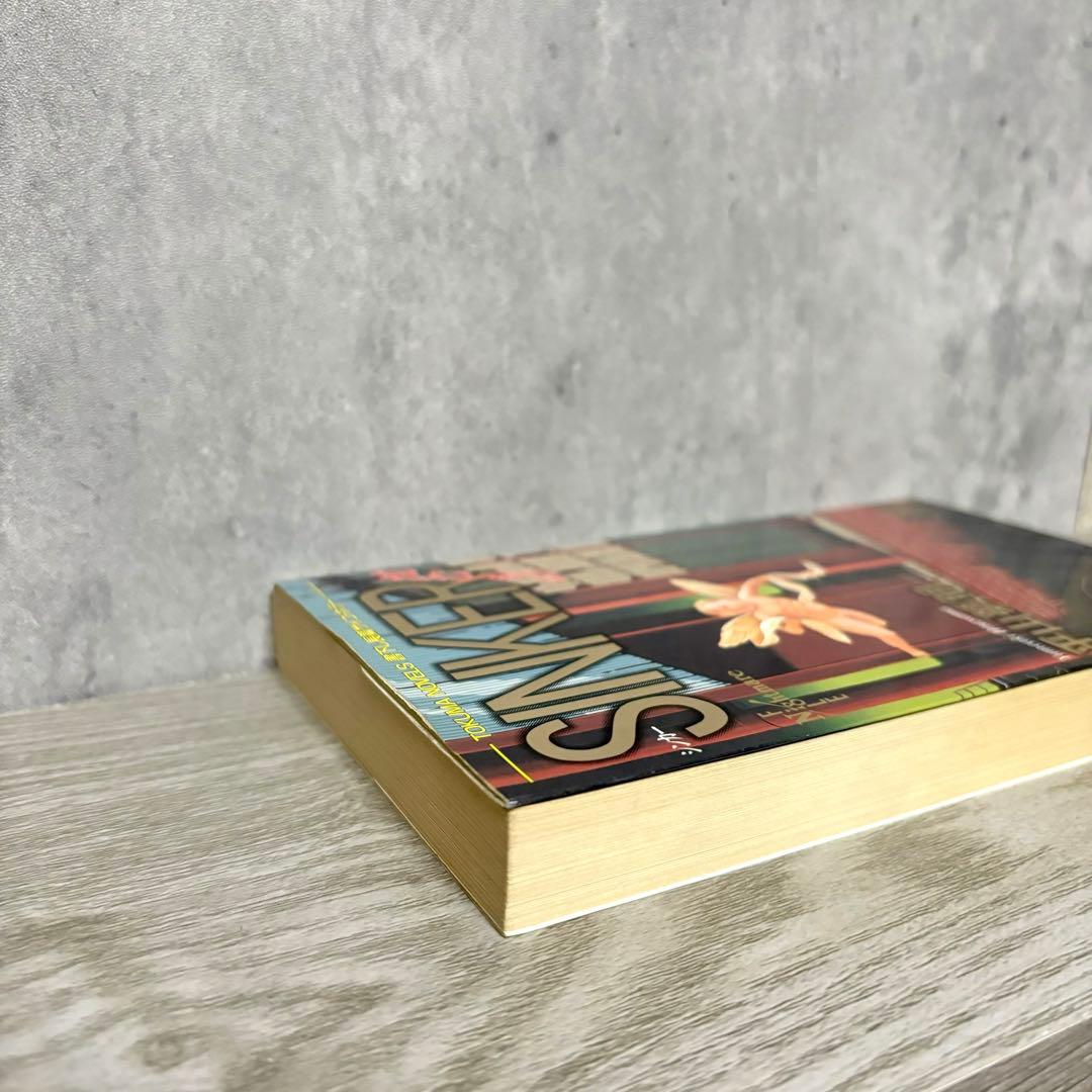 平山夢明 『SINKER 沈むもの』 1996年初版 絶版 サイコホラー小説