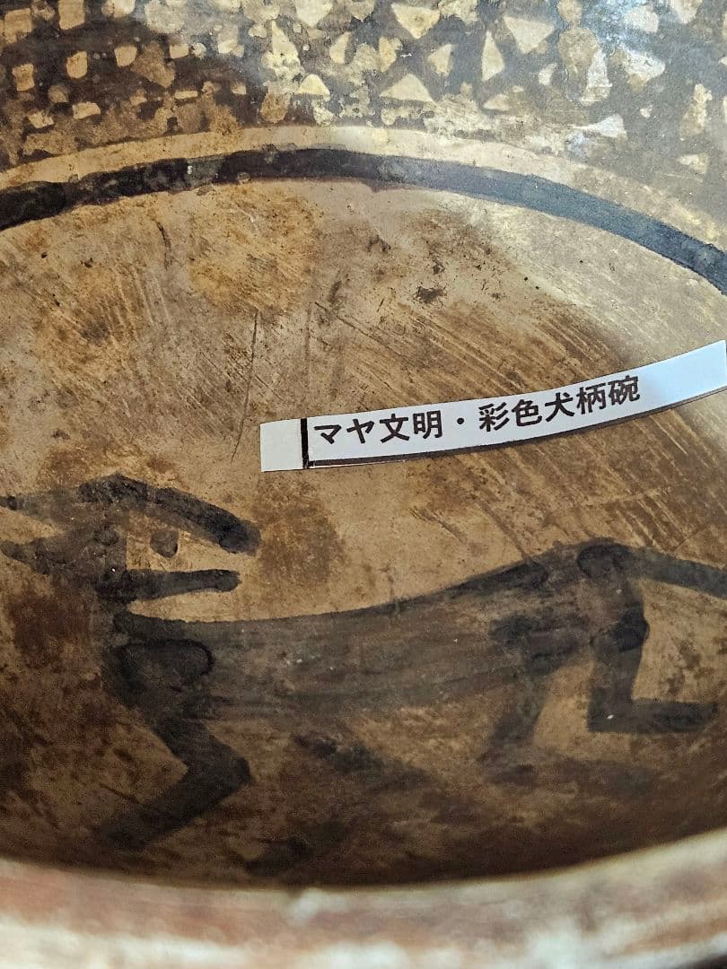 古代マヤ文明❗】彩色　犬の図　半球形鉢　出土品　コレクター蔵品　古代土器　古陶器