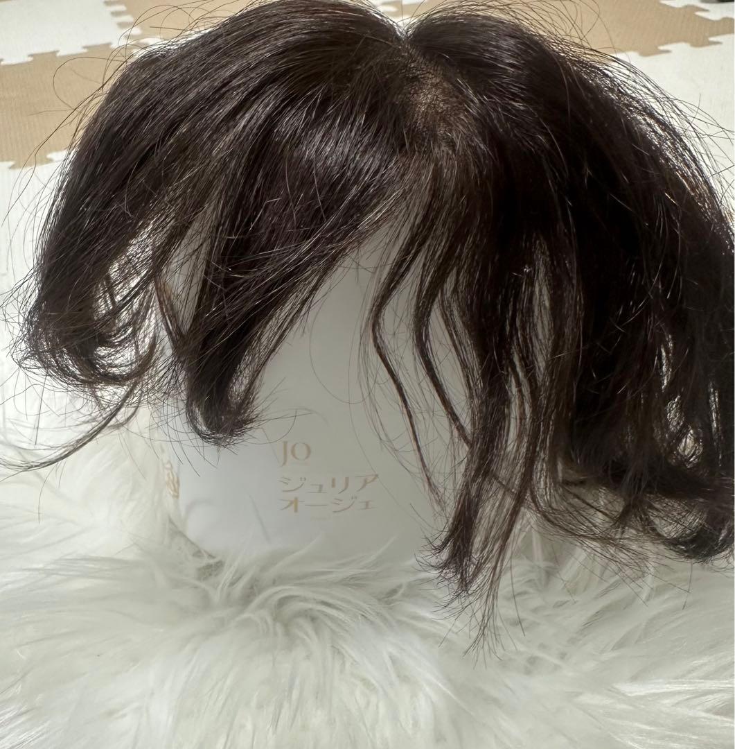 ☆Julia Olger ジュリアオージェ ウィッグ☆