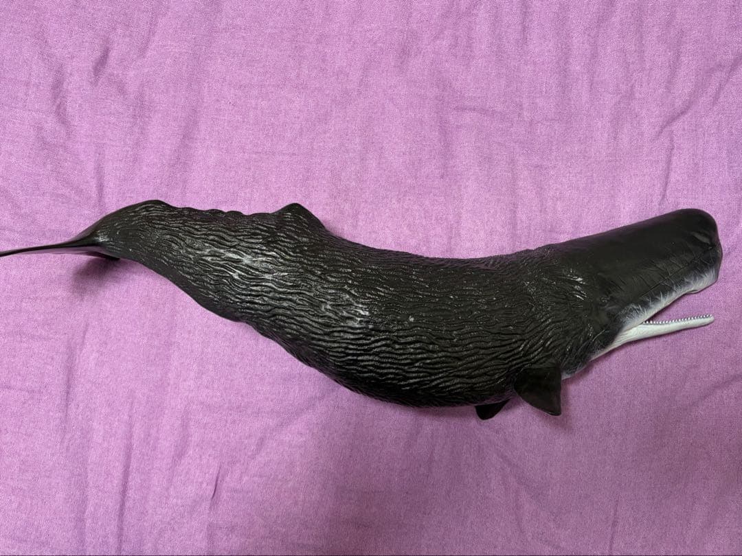 希少⭐︎海洋堂　マッコウクジラ フィギュア 黒 約65cm 原型制作:松村しのぶ