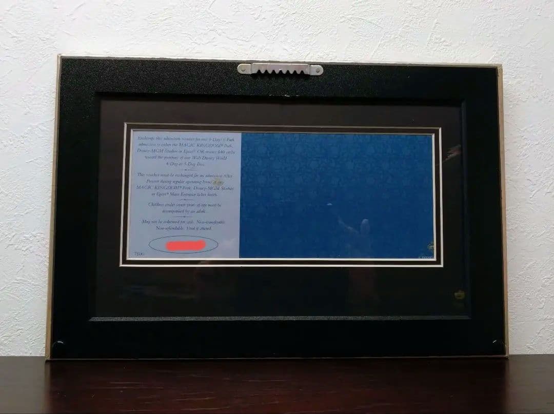 ★WDW★ウォルト・ディズニー・ワールド25周年★記念フレーム★