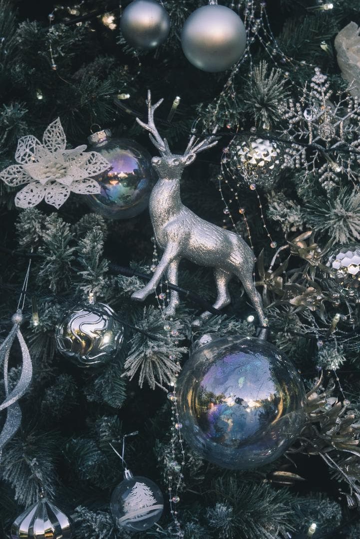 虹の出るライカの癖玉！Leica Summar 50mm F2 オールドレンズ