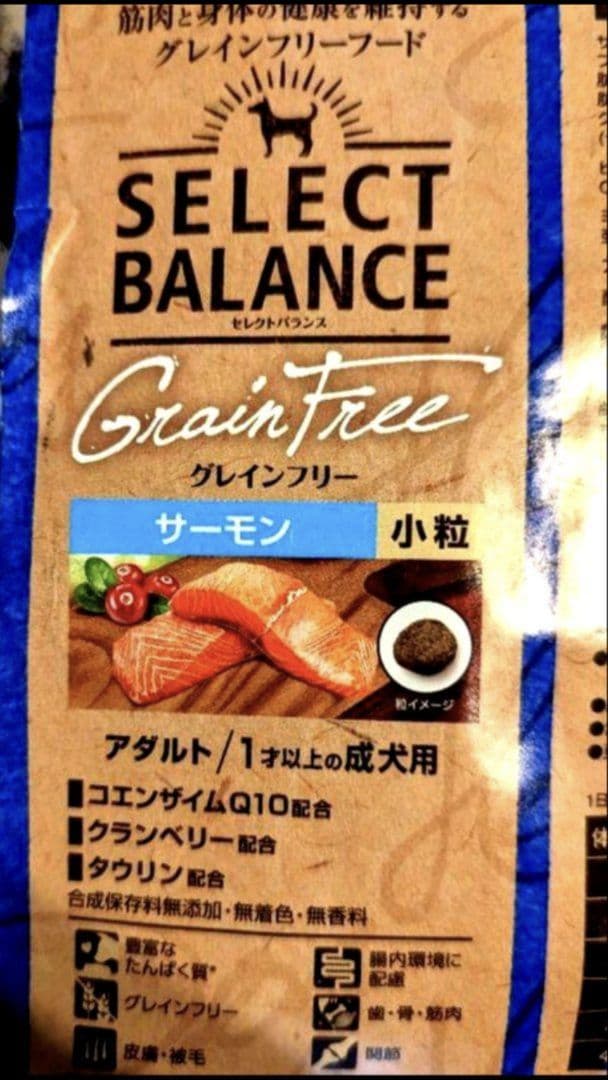 セレクトバランス グレインフリー アダルト サーモン 成犬用 10kg✕２