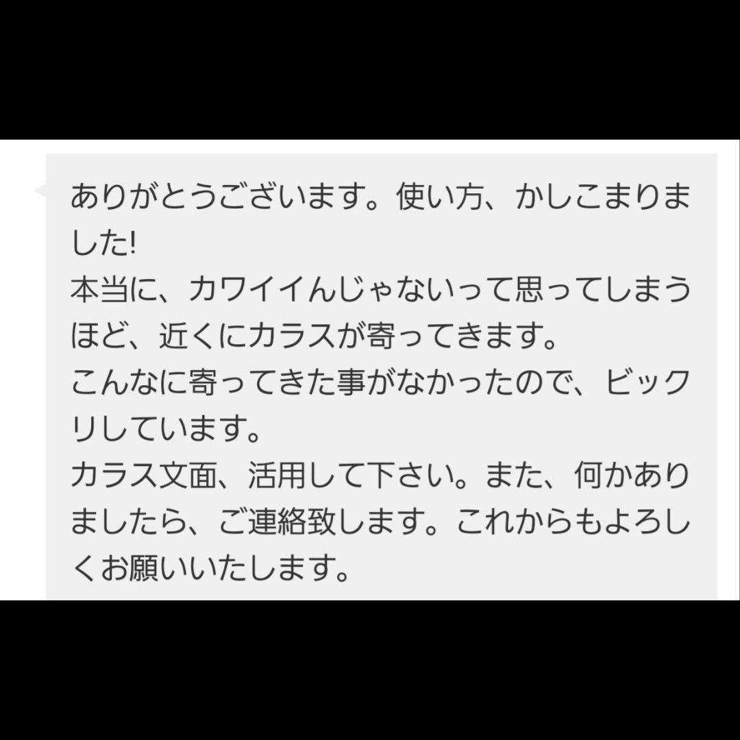 【ご予約品】ファウスト博士の精霊召喚魔術書 〜全てを成し遂げることができた図形版