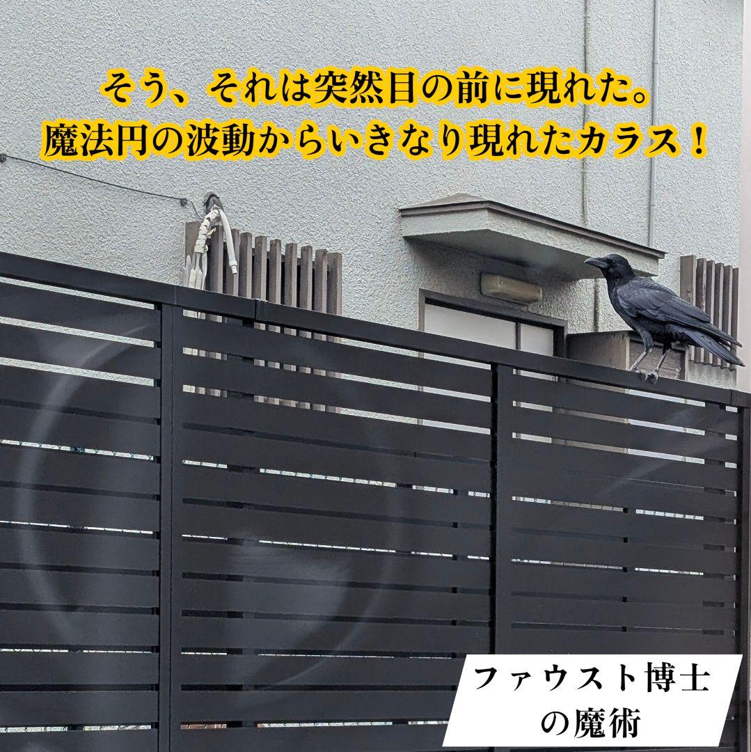 【ご予約品】ファウスト博士の精霊召喚魔術書 〜全てを成し遂げることができた図形版