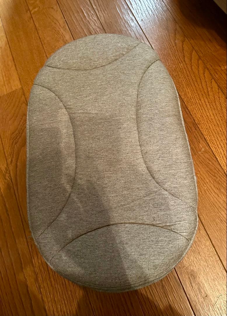 AIRBUGGY ペットカート ドーム3 レギュラー