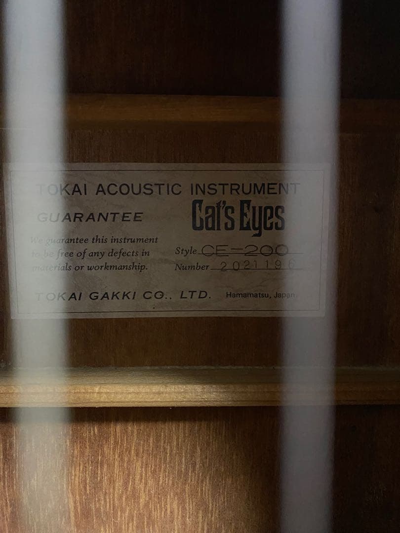 アコースティックギター CE-200