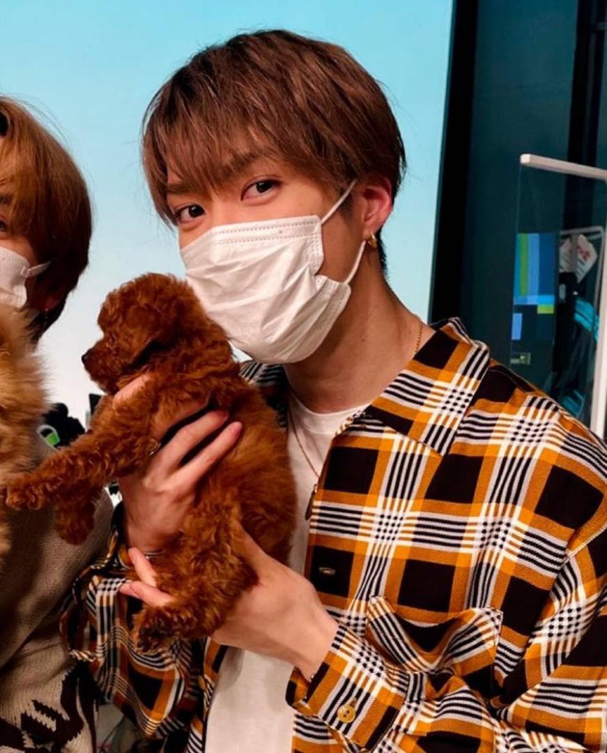 藤原樹 着用シャツ＆吉野北人 着用ニット セーター Mサイズセット【新品未使用】