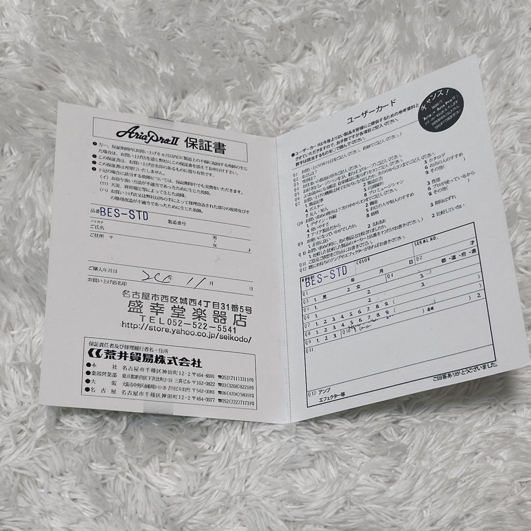 美品✨BLITZ by Aria ProⅡセミアコ ES-335タイプ