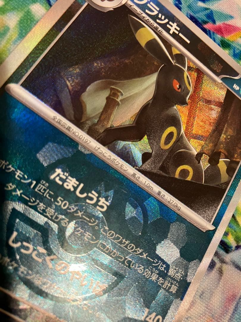 ブラッキー　マスターボールミラー　テラスタルフェスex