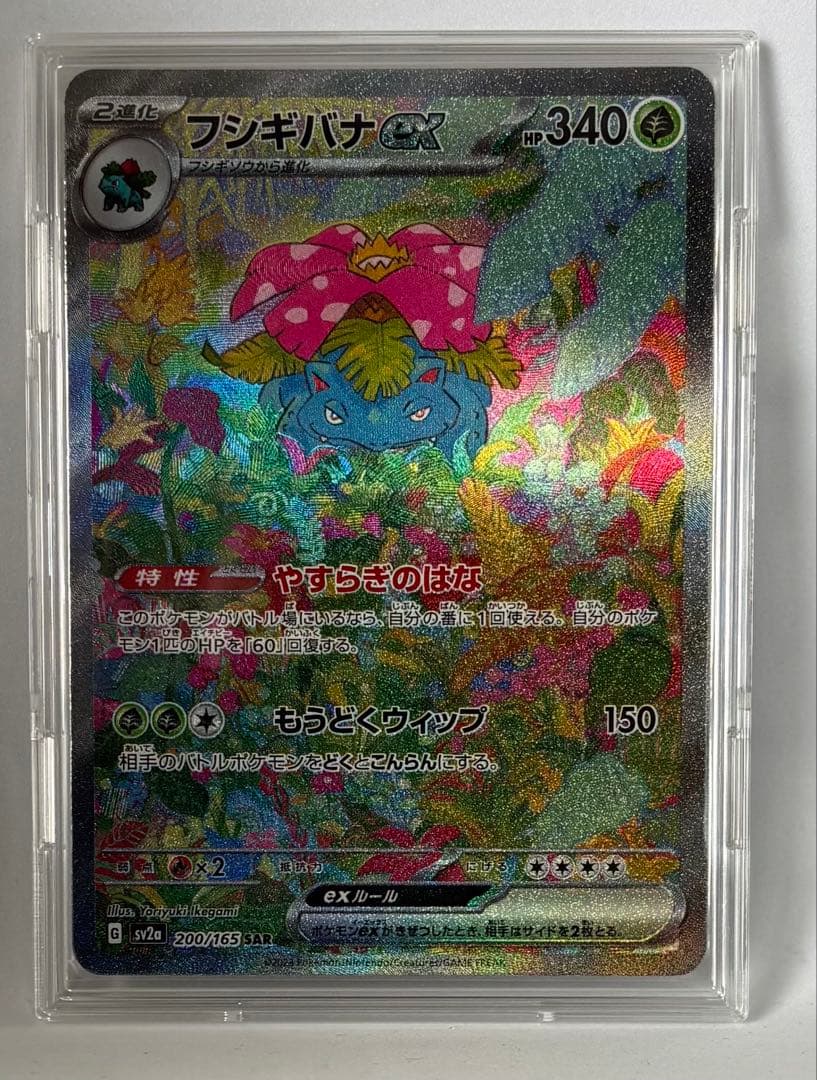 3連番 進化ライン フシギバナex SAR 151 オマケのSR