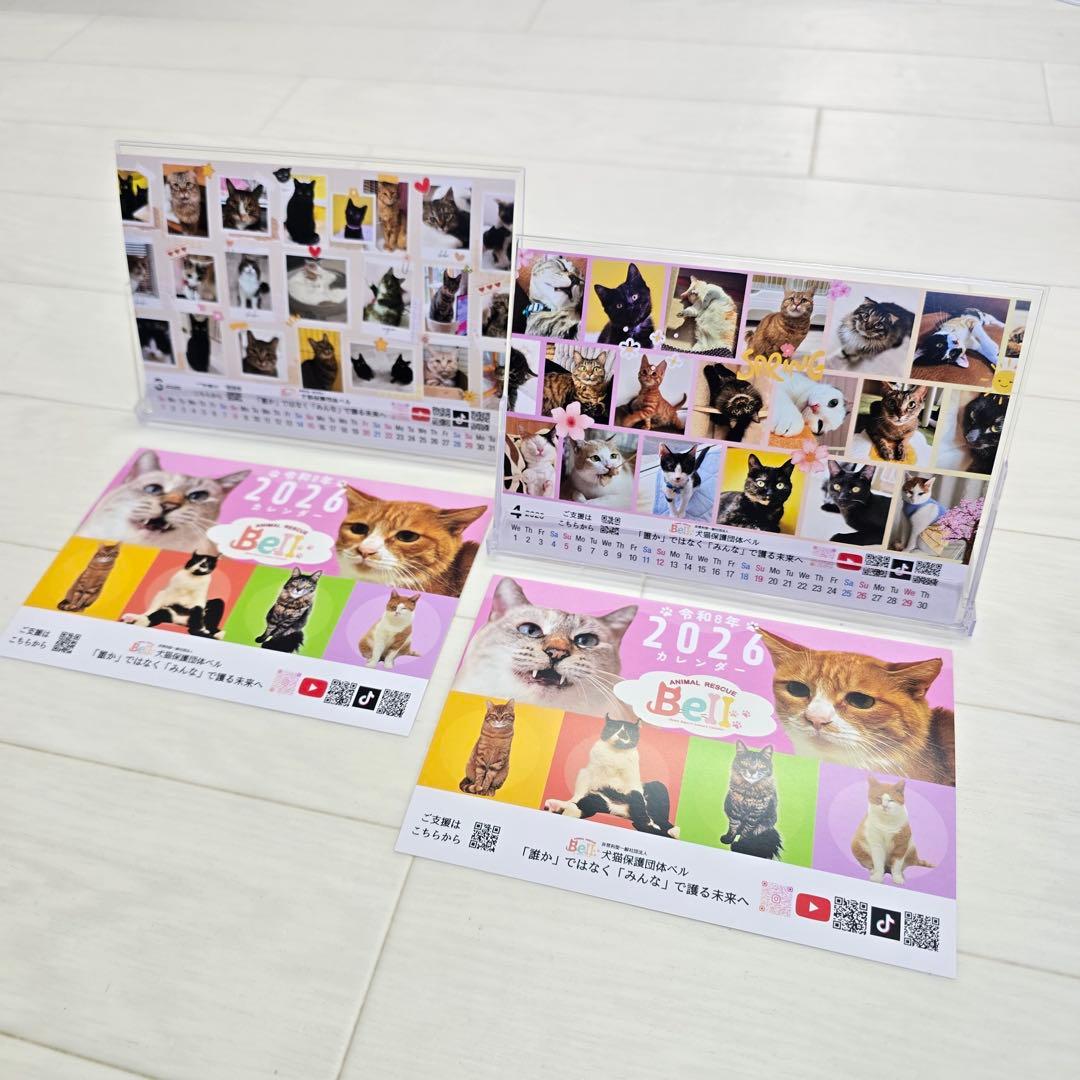 ①《猫》 卓上チャリティーカレンダー10枚セット