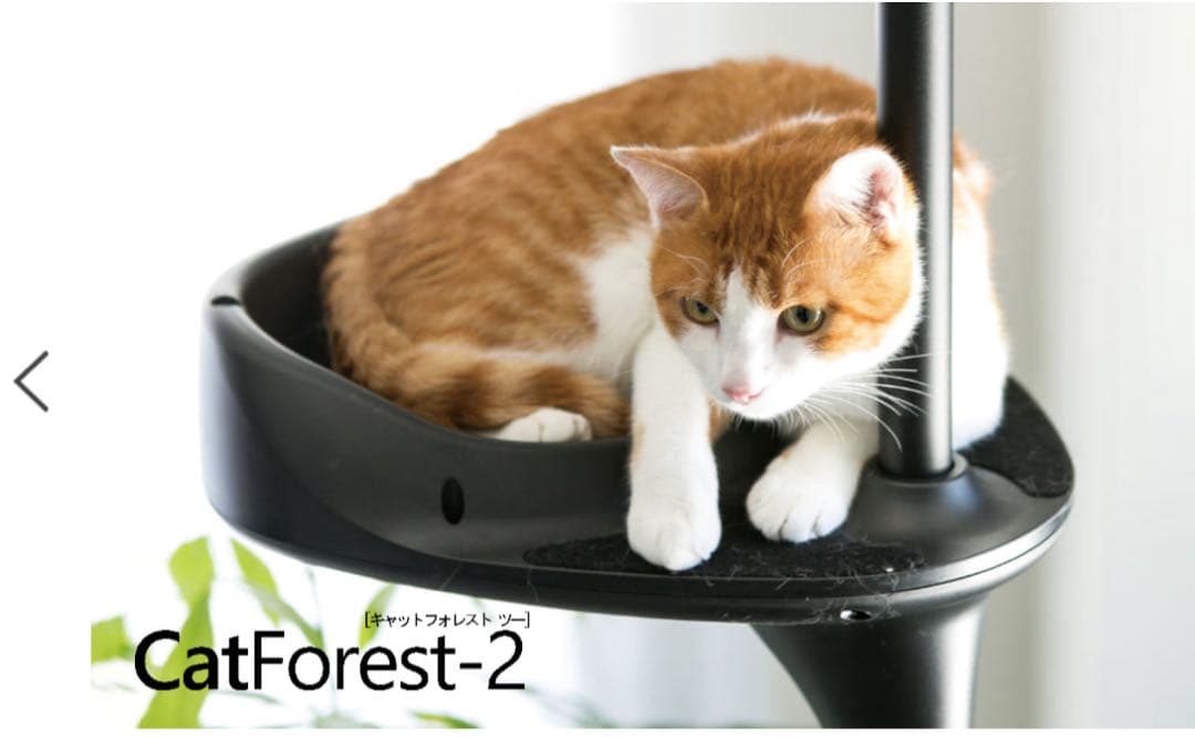 OPPO CatForest-2 キャットフォレスト2 ブラック