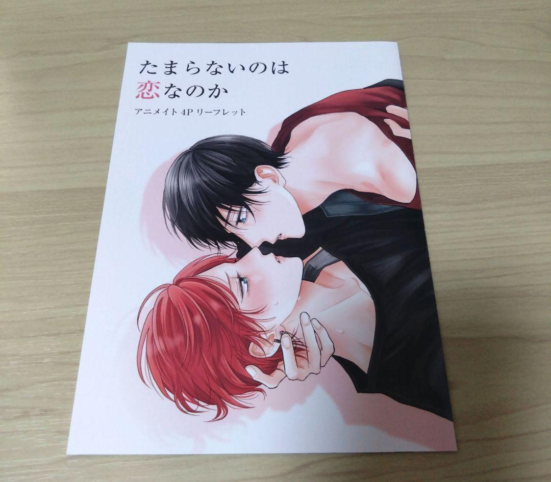 【たまらないのは恋なのか/空華みあ】 関連特典11点セット