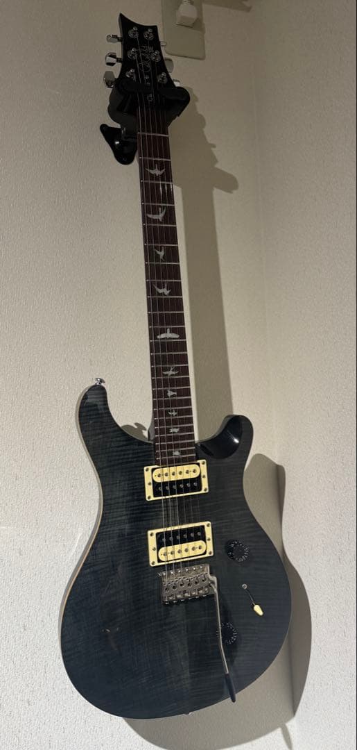 ギター PRS SE CUSTOM24
