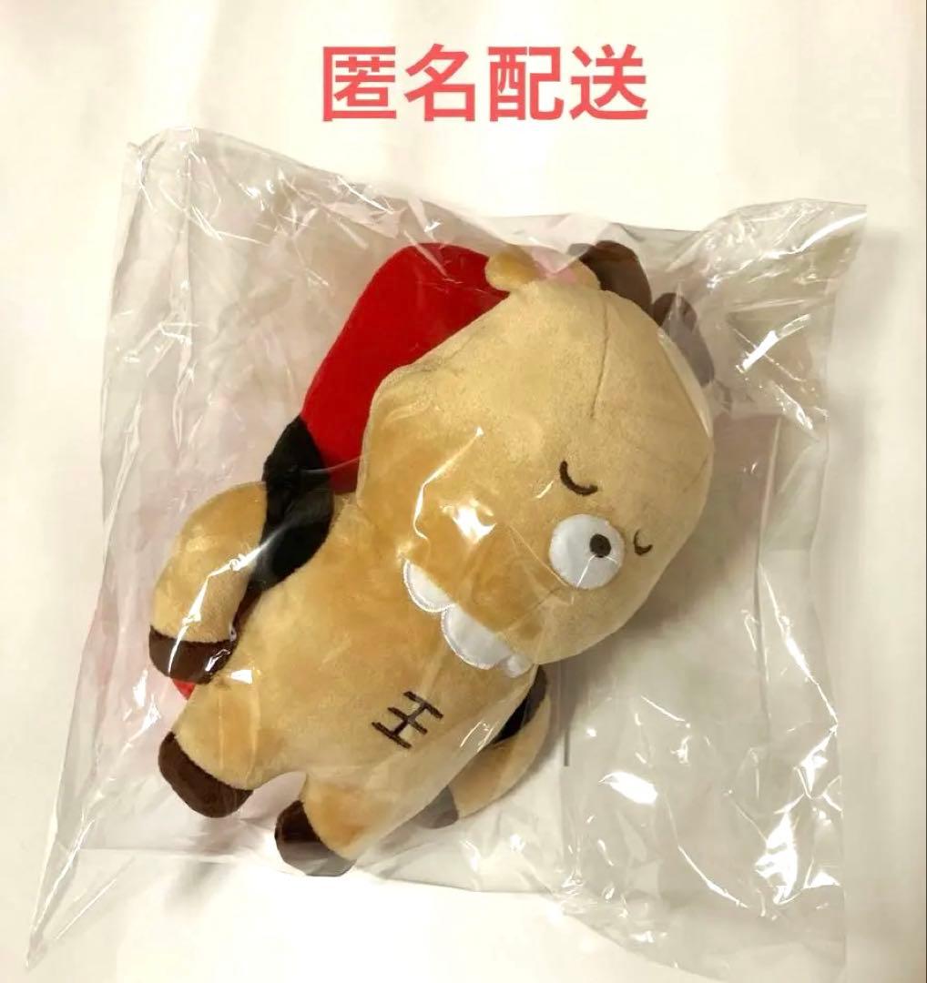 新品未開封 riize らいずし ぬいぐるみ ウラッバム ソンチャン