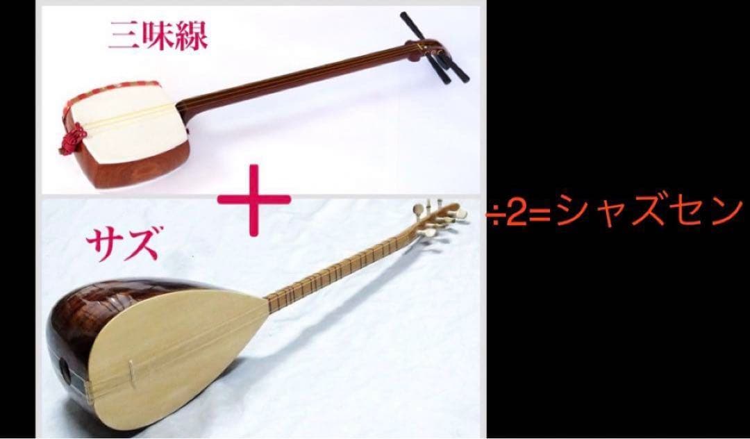 レア楽器　シャズセン　ダブルボディ　細棹