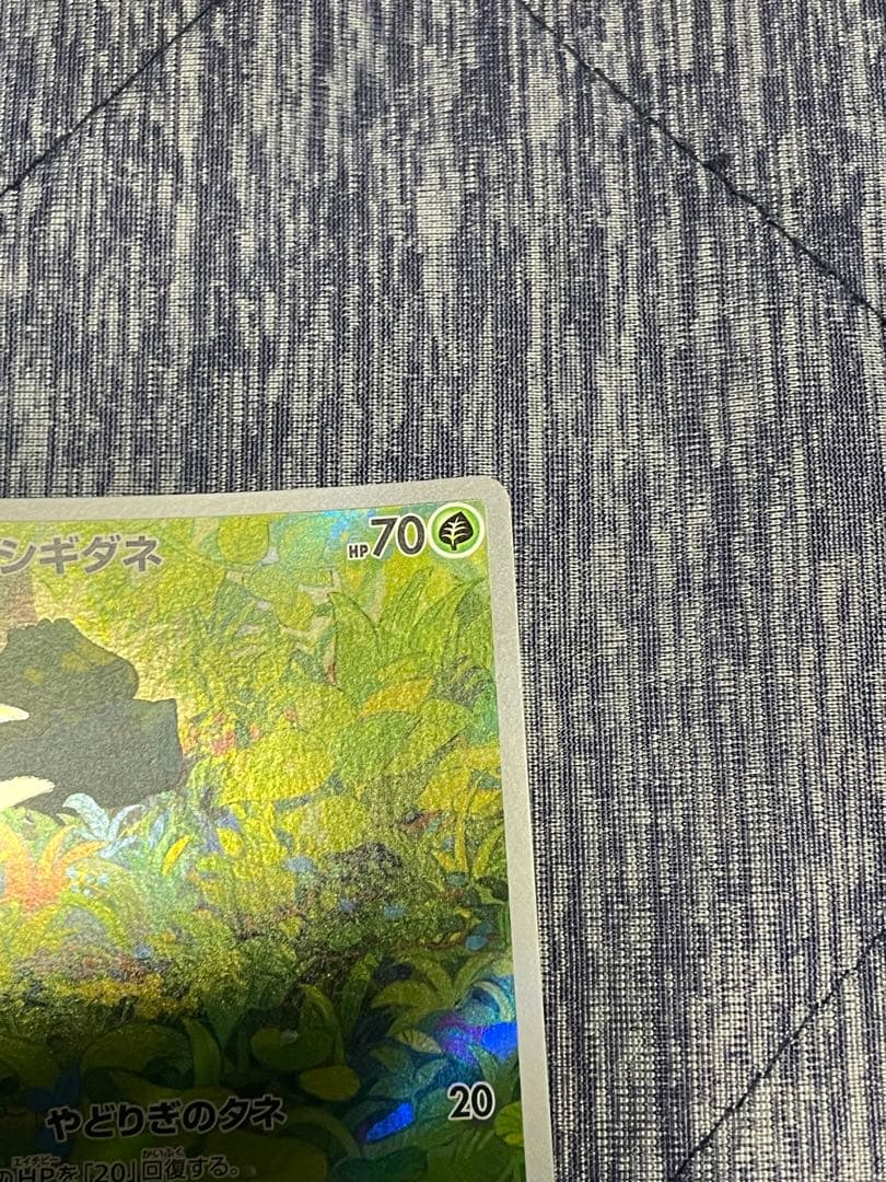 フシギバナ exsarセット