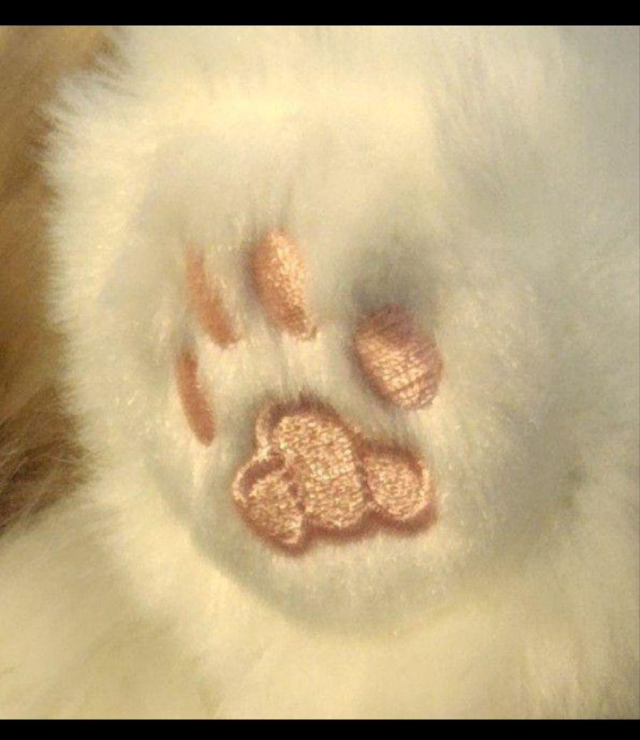 猫のぬいぐるみ　にゃんちゃん　ショルダーねこバッグ