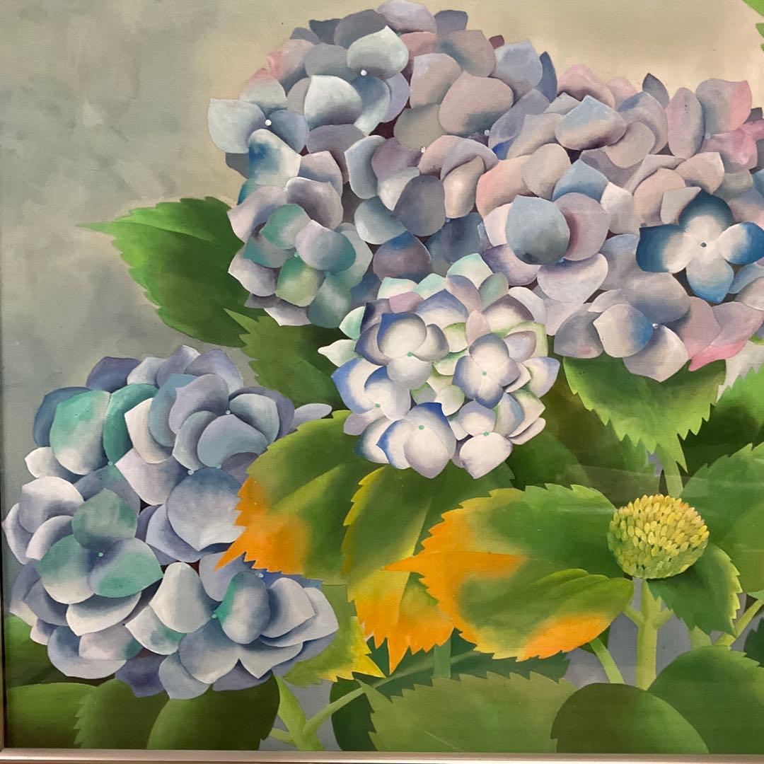 山口　蓬春　　紫陽花　日本画　絵画　額装