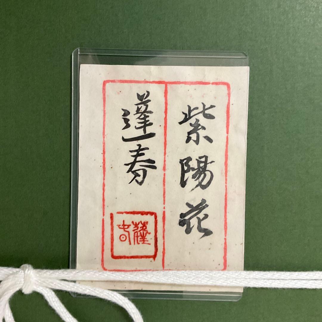 山口　蓬春　　紫陽花　日本画　絵画　額装