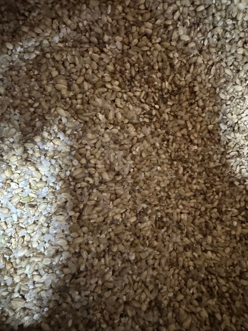 鳥のエサ くず米 40kg のりちゃん