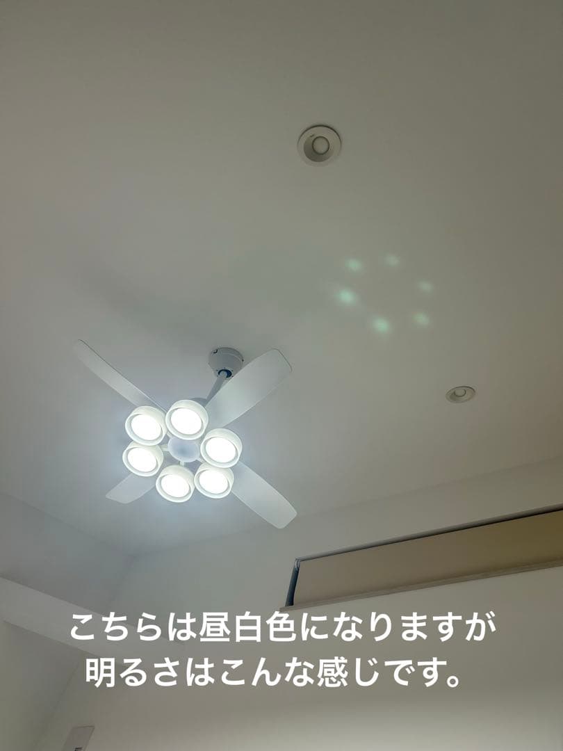 【新品6個】ODELIC No.293KL 非調光ランプ　電球色LED