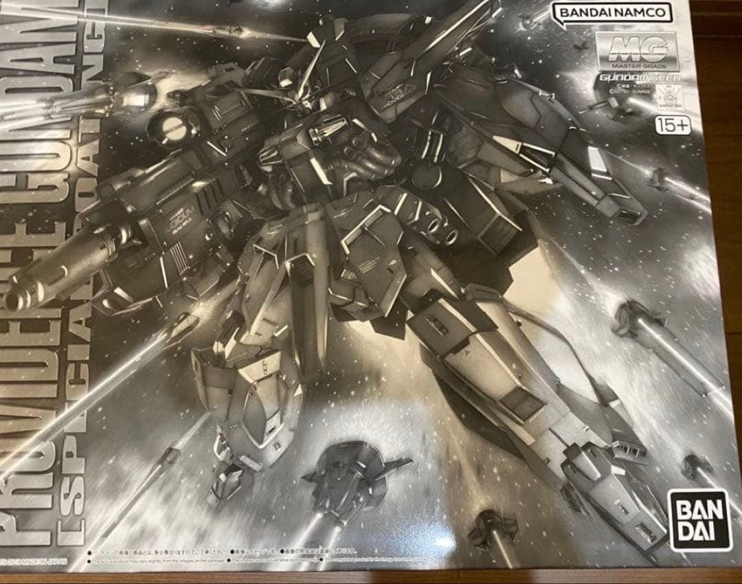 ＭＧ 1/100 プロヴィデンスガンダム [スペシャルコーティング] 新品