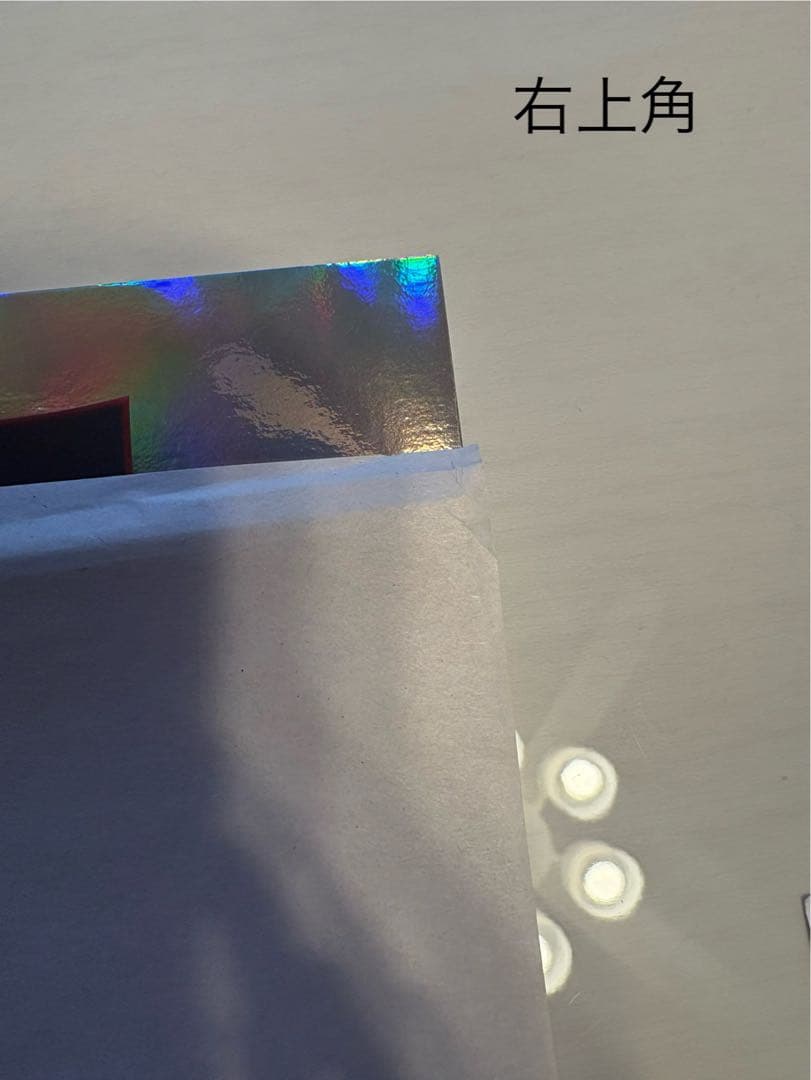 TOOL ポスター 来日公演 日本限定 横浜 桃桃子