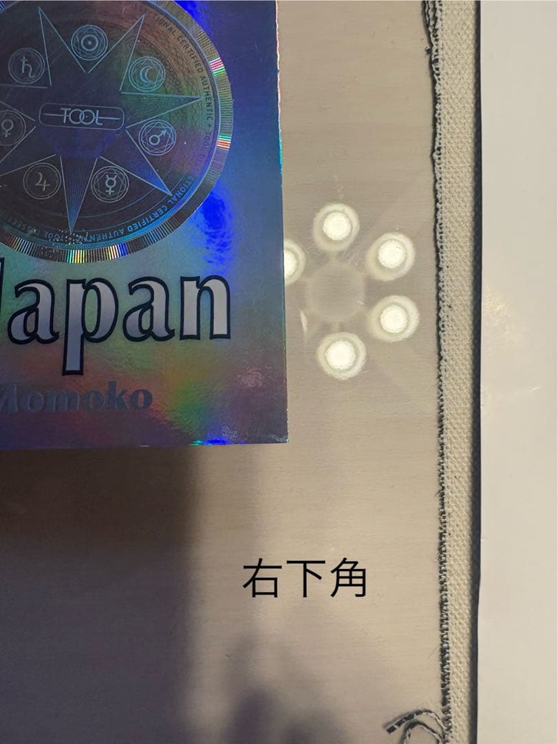 TOOL ポスター 来日公演 日本限定 横浜 桃桃子